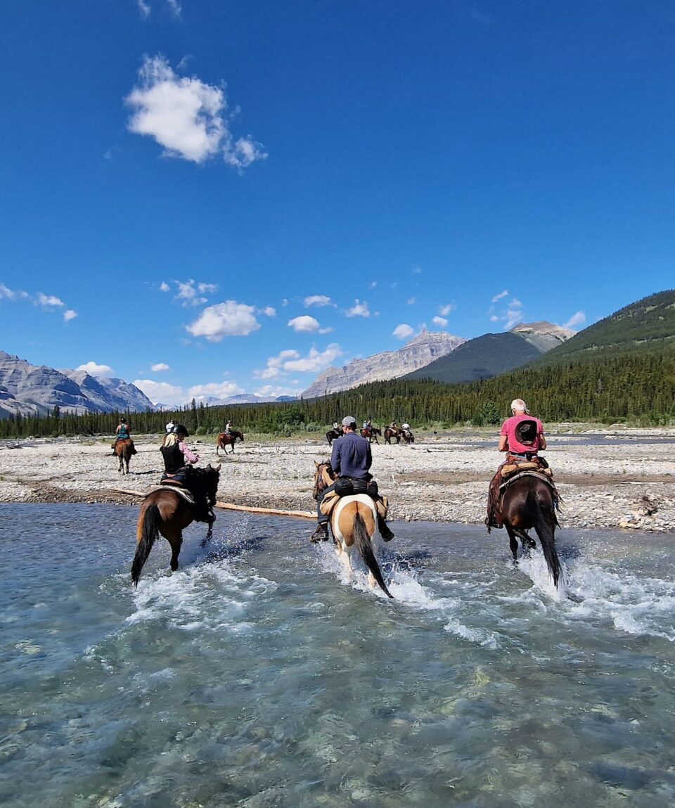 20250708_112754kw-960x1149