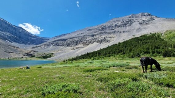 20250708_141249-min-570x319