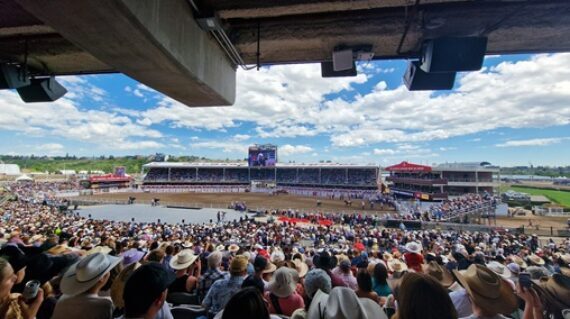 20250712_142945-min-570x319