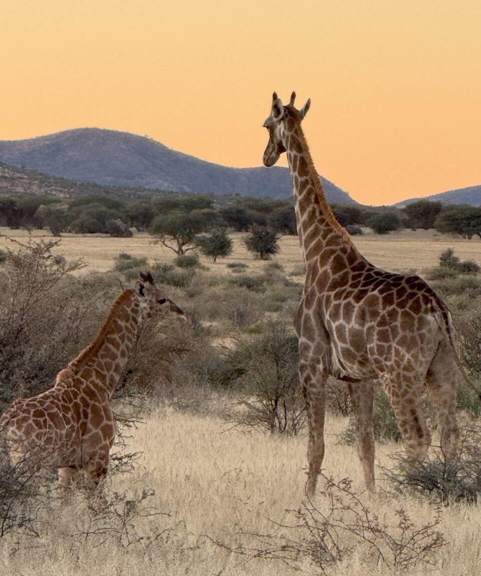 IMG_7703-prof-scaled