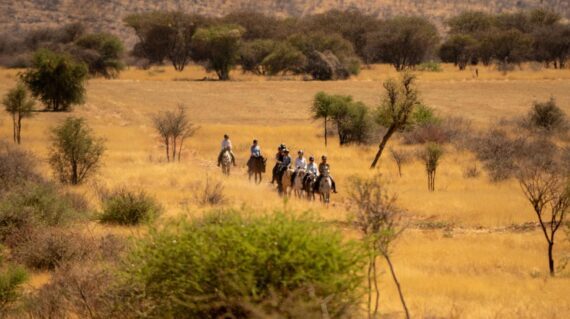 Zdjecie-WhatsApp-2025-10-09-o-19.15.03_9a149bc0-570x319